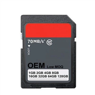 Cartão SD de Memória OEM